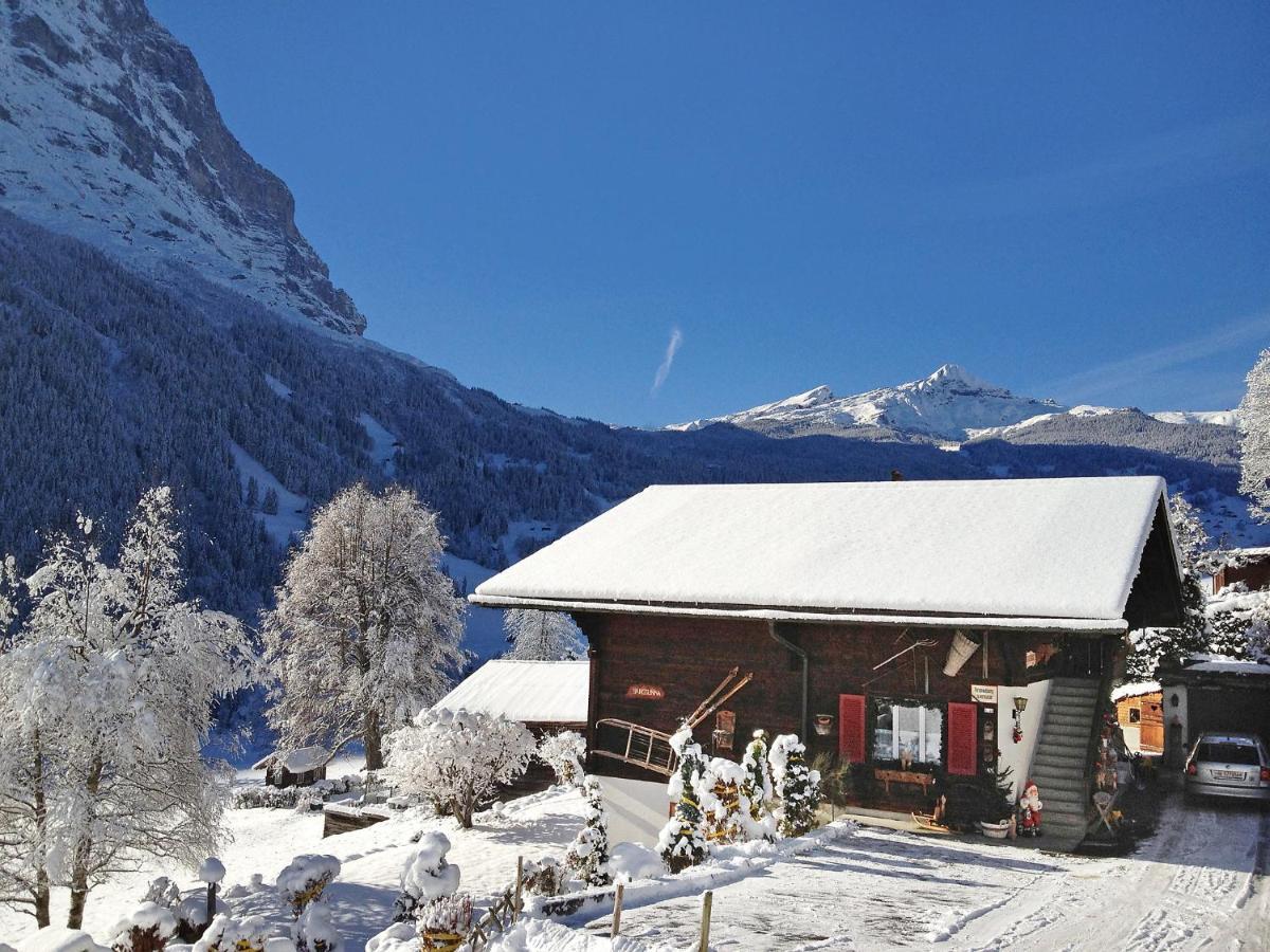 Apartment Chalet Baergsunna-2 By Interhome Grindelwald Dış mekan fotoğraf