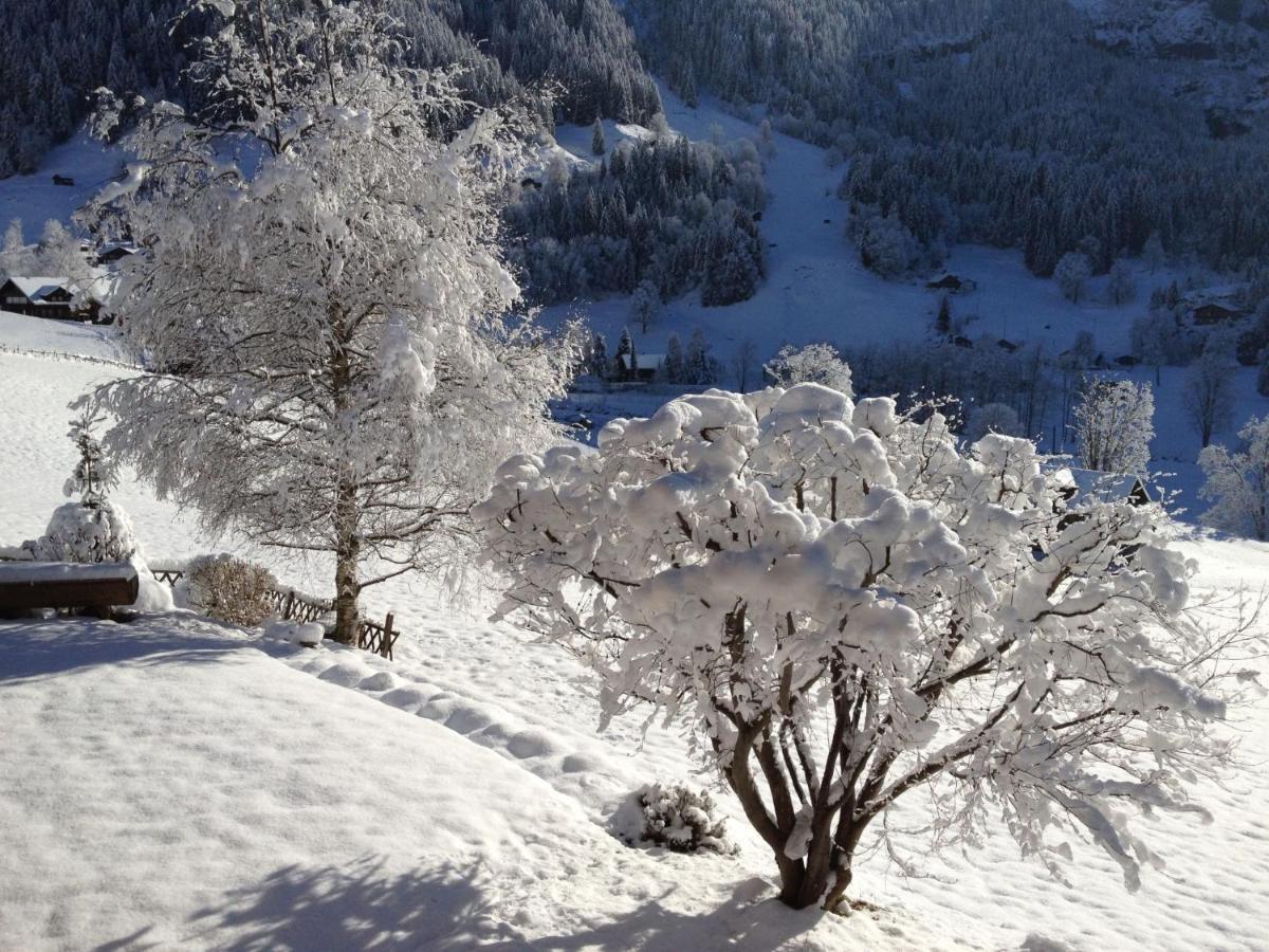 Apartment Chalet Baergsunna-2 By Interhome Grindelwald Dış mekan fotoğraf