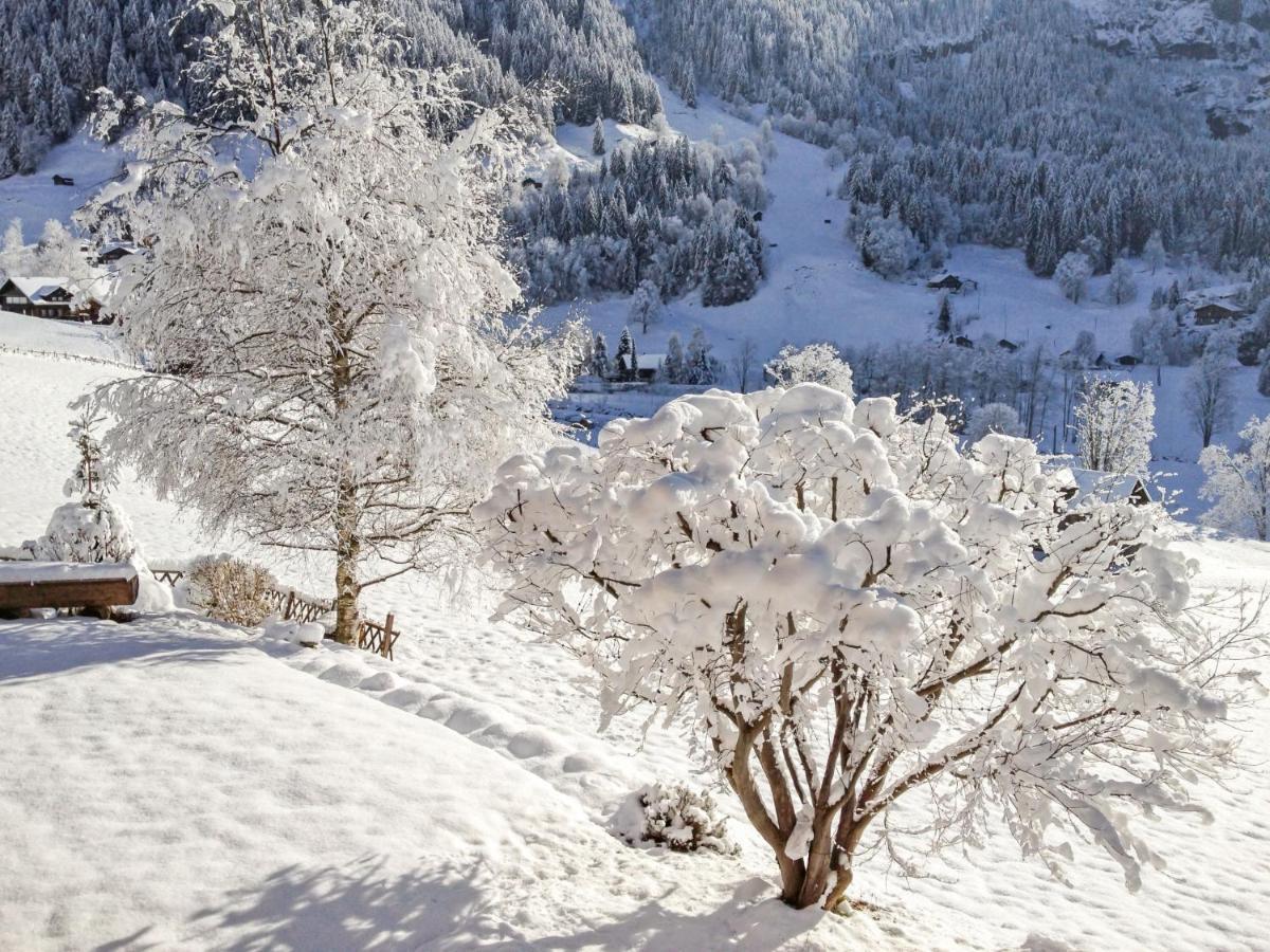 Apartment Chalet Baergsunna-2 By Interhome Grindelwald Dış mekan fotoğraf